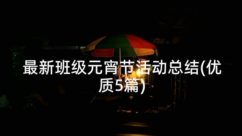 最新班级元宵节活动总结(优质5篇)