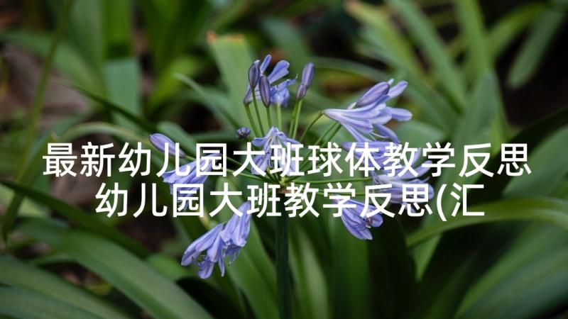 最新幼儿园大班球体教学反思 幼儿园大班教学反思(汇总10篇)