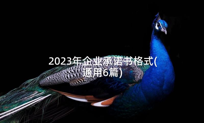 2023年企业承诺书格式(通用6篇)