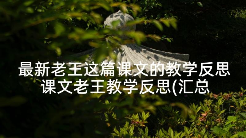 最新老王这篇课文的教学反思 课文老王教学反思(汇总5篇)