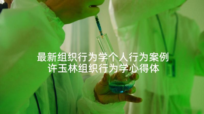 最新组织行为学个人行为案例 许玉林组织行为学心得体会(优秀7篇)