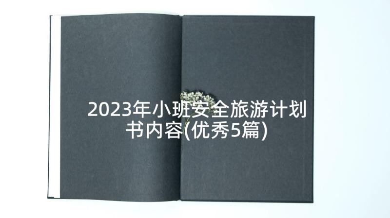 2023年小班安全旅游计划书内容(优秀5篇)