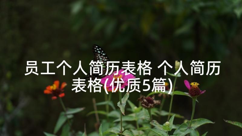 员工个人简历表格 个人简历表格(优质5篇)