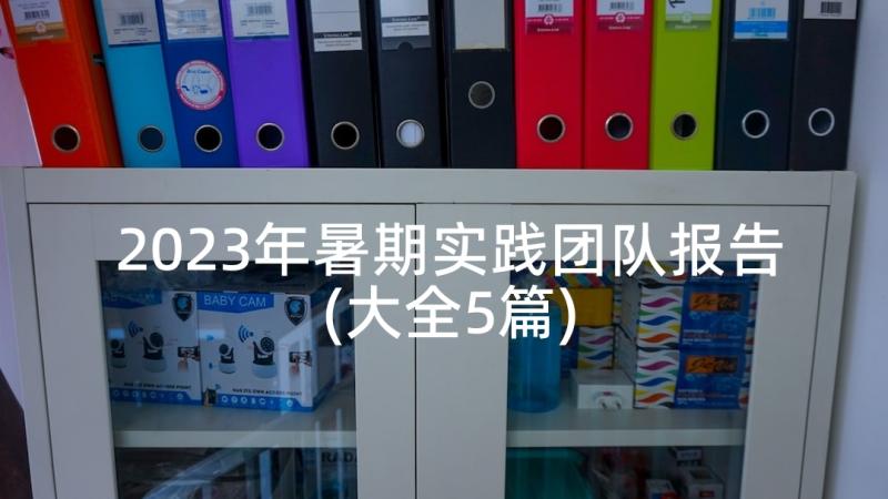 2023年暑期实践团队报告(大全5篇)