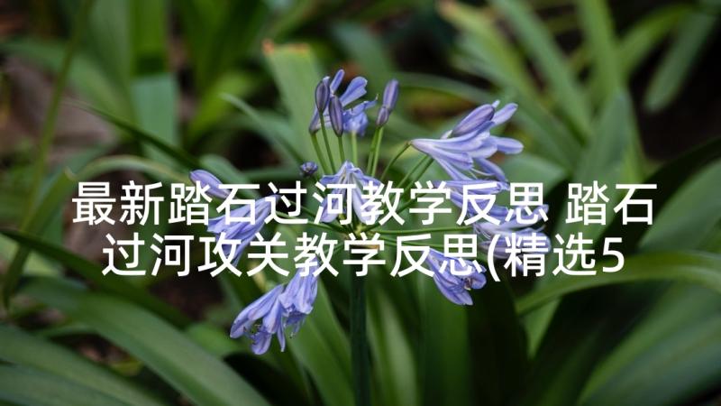 最新踏石过河教学反思 踏石过河攻关教学反思(精选5篇)