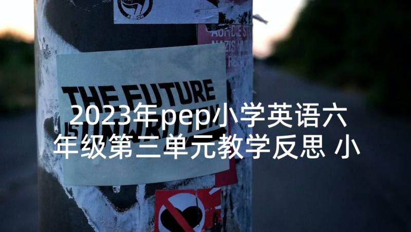 2023年pep小学英语六年级第三单元教学反思 小学六年级英语教学反思(优质8篇)