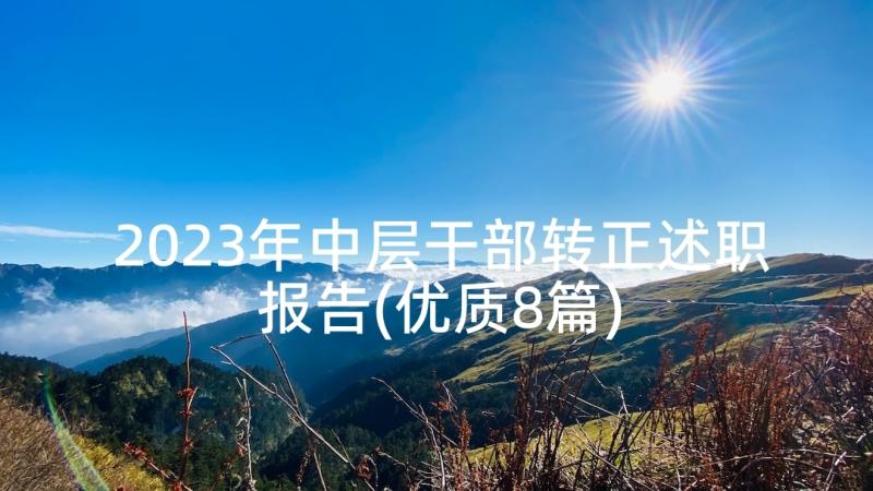 2023年中层干部转正述职报告(优质8篇)