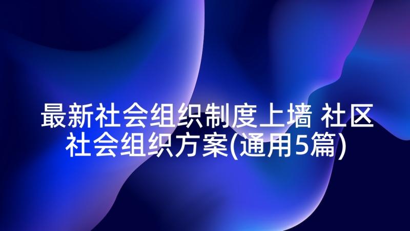 最新社会组织制度上墙 社区社会组织方案(通用5篇)