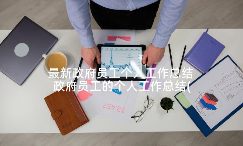 最新政府员工个人工作总结 政府员工的个人工作总结(优质5篇)