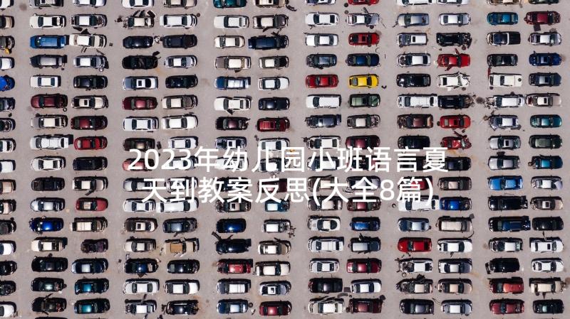 2023年幼儿园小班语言夏天到教案反思(大全8篇)