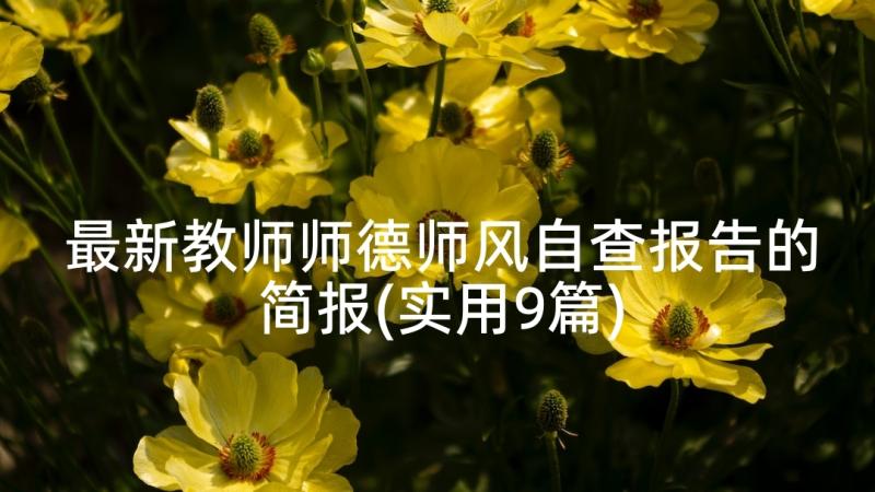 最新教师师德师风自查报告的简报(实用9篇)