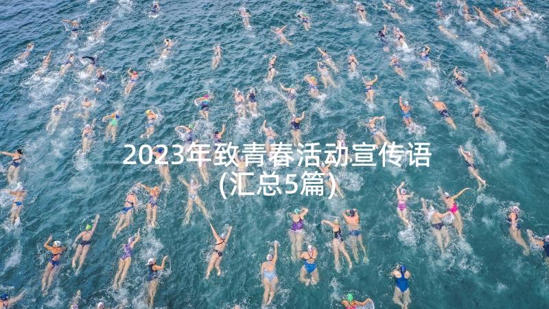 2023年致青春活动宣传语(汇总5篇)