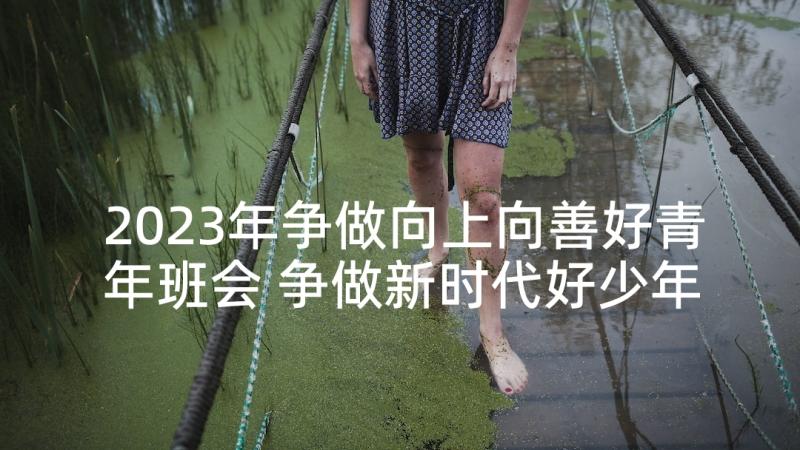 2023年争做向上向善好青年班会 争做新时代好少年班会教案活动方案(优质5篇)