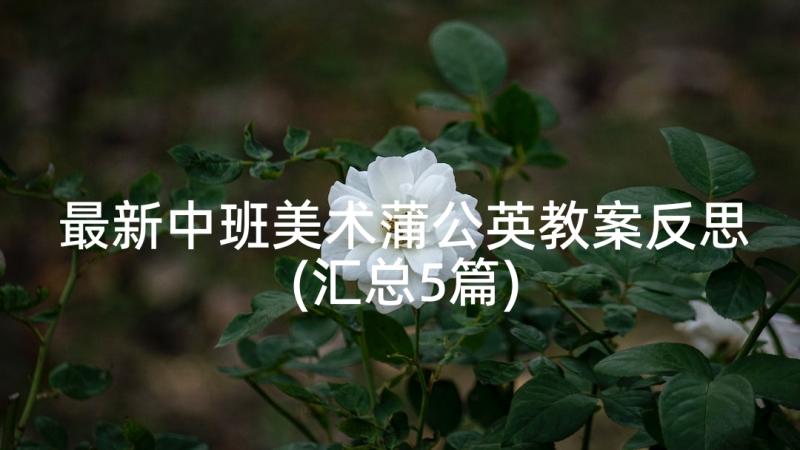 最新中班美术蒲公英教案反思(汇总5篇)