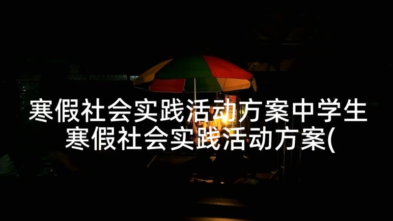 寒假社会实践活动方案中学生 寒假社会实践活动方案(汇总8篇)