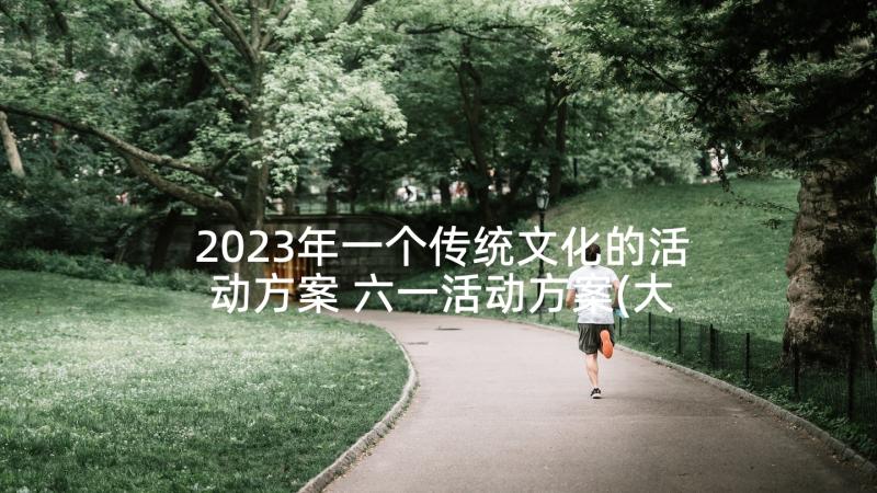 2023年一个传统文化的活动方案 六一活动方案(大全5篇)