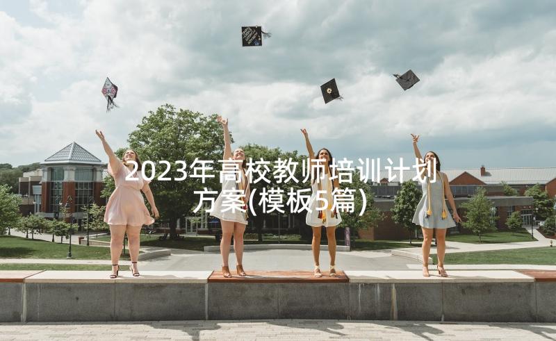 2023年高校教师培训计划方案(模板5篇)