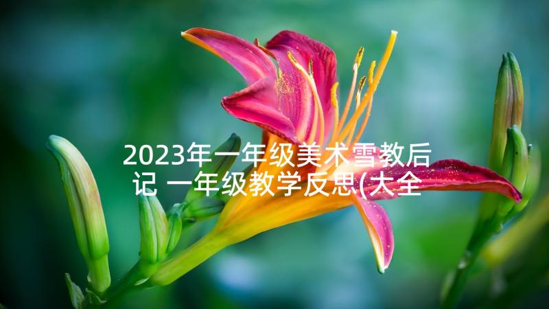 2023年一年级美术雪教后记 一年级教学反思(大全5篇)