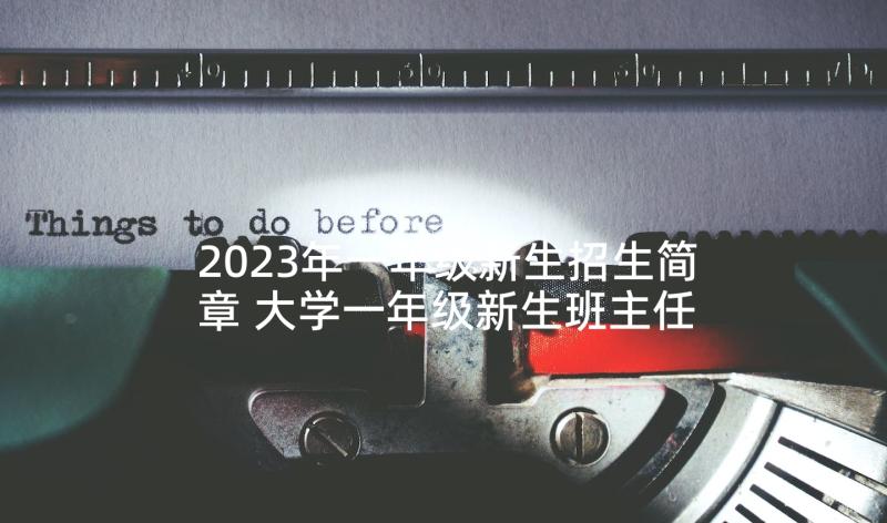 2023年一年级新生招生简章 大学一年级新生班主任工作计划书(优秀5篇)