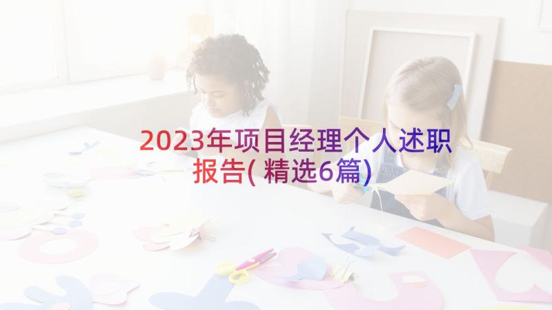 2023年项目经理个人述职报告(精选6篇)