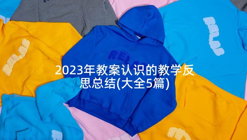 2023年教案认识的教学反思总结(大全5篇)