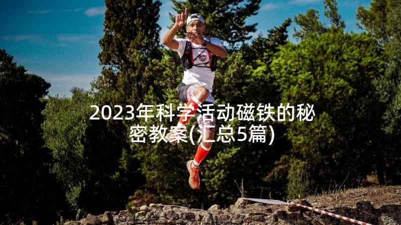 2023年科学活动磁铁的秘密教案(汇总5篇)