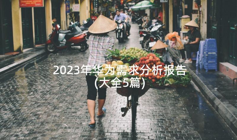 2023年华为需求分析报告(大全5篇)