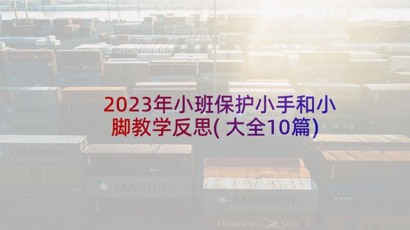 2023年小班保护小手和小脚教学反思(大全10篇)