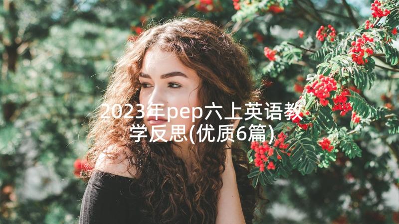 2023年pep六上英语教学反思(优质6篇)