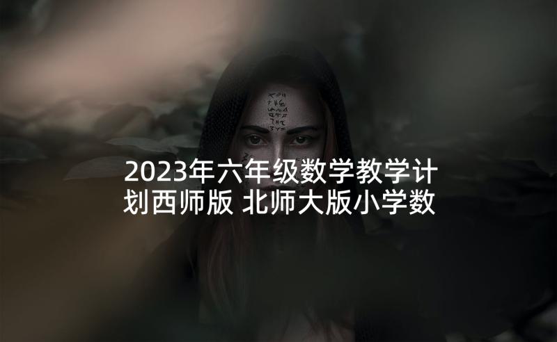 2023年六年级数学教学计划西师版 北师大版小学数学六年级教学计划(优质5篇)