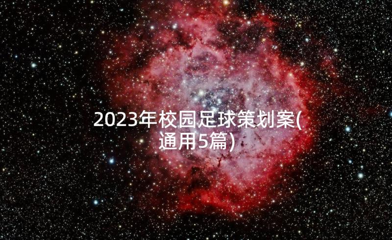 2023年校园足球策划案(通用5篇)