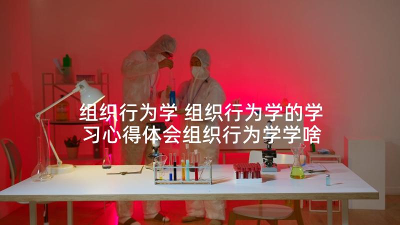 组织行为学 组织行为学的学习心得体会组织行为学学啥(大全7篇)