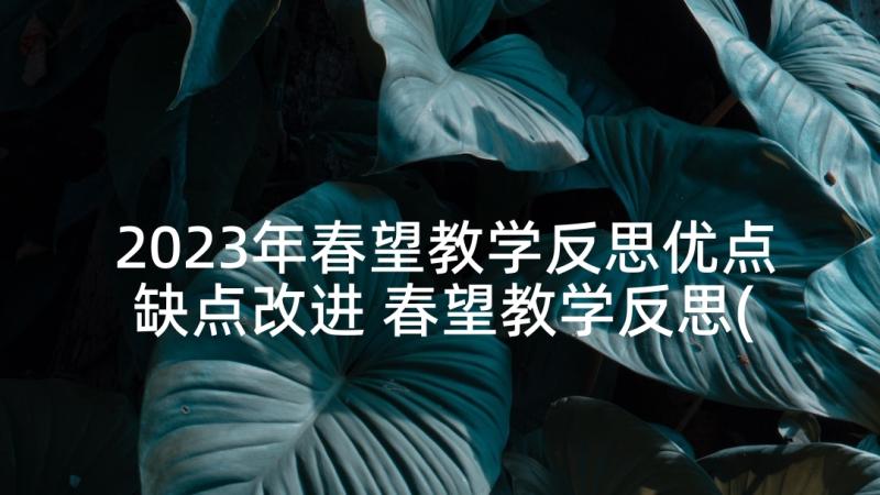 2023年春望教学反思优点缺点改进 春望教学反思(模板5篇)