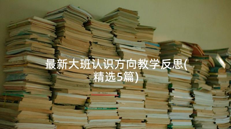 最新大班认识方向教学反思(精选5篇)