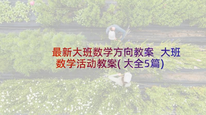 最新大班数学方向教案 大班数学活动教案(大全5篇)