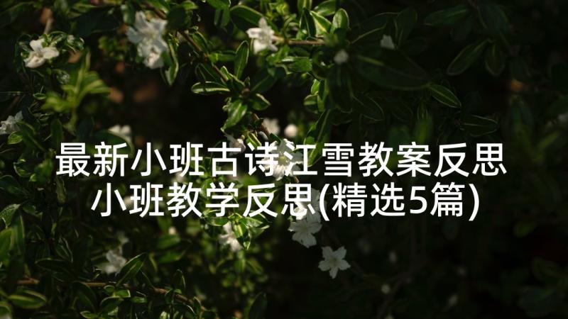 最新小班古诗江雪教案反思 小班教学反思(精选5篇)