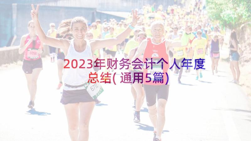 2023年财务会计个人年度总结(通用5篇)