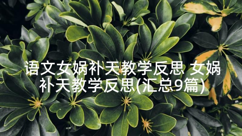 语文女娲补天教学反思 女娲补天教学反思(汇总9篇)