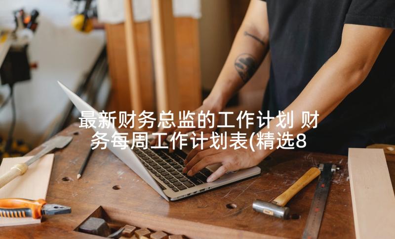 最新财务总监的工作计划 财务每周工作计划表(精选8篇)