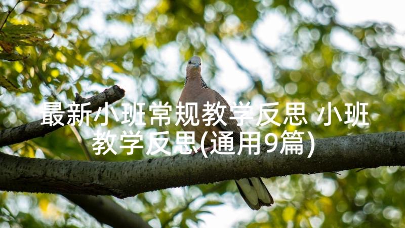 最新小班常规教学反思 小班教学反思(通用9篇)