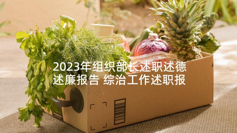 2023年组织部长述职述德述廉报告 综治工作述职报告(通用5篇)