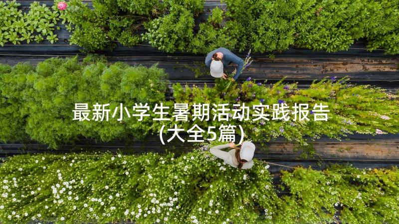 最新小学生暑期活动实践报告(大全5篇)