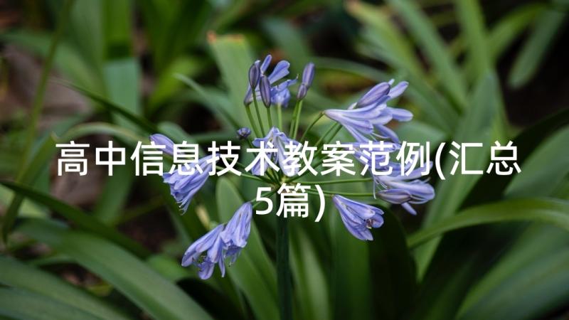 高中信息技术教案范例(汇总5篇)