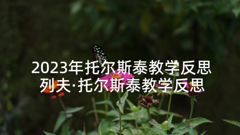 2023年托尔斯泰教学反思 列夫·托尔斯泰教学反思(精选5篇)