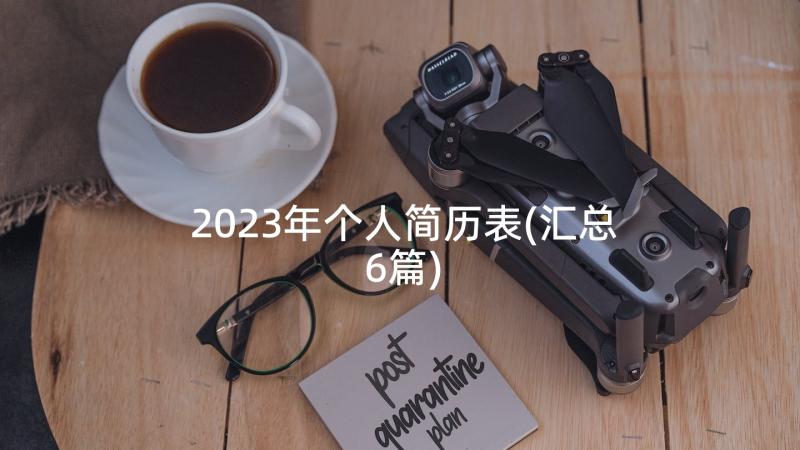 2023年个人简历表(汇总6篇)