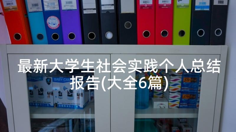 最新大学生社会实践个人总结报告(大全6篇)