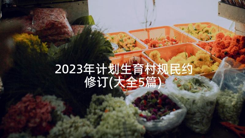 2023年计划生育村规民约修订(大全5篇)