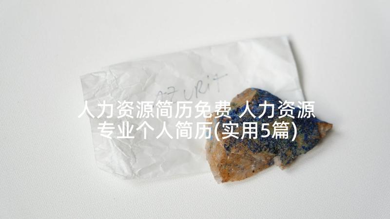 人力资源简历免费 人力资源专业个人简历(实用5篇)