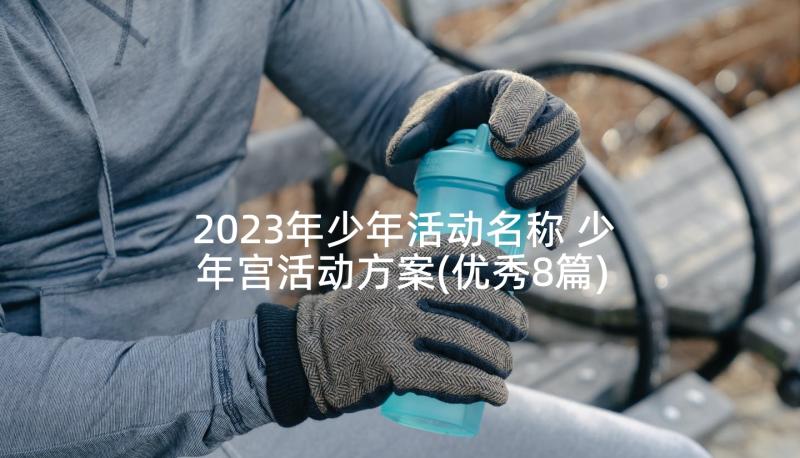 2023年少年活动名称 少年宫活动方案(优秀8篇)