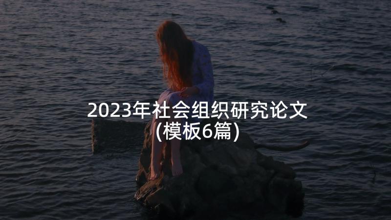 2023年社会组织研究论文(模板6篇)